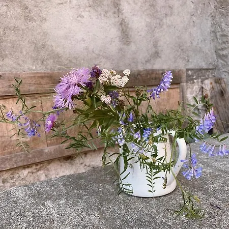 Antica Sosta Dei Viandanti Nocleg ze śniadaniem 4*