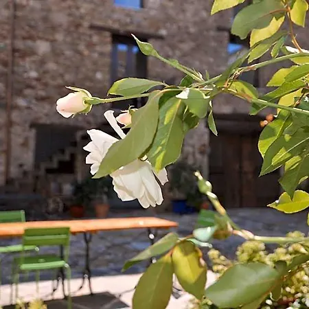 Antica Sosta Dei Viandanti Bed & Breakfast Cadenazzo