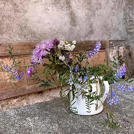 Antica Sosta Dei Viandanti Cadenazzo