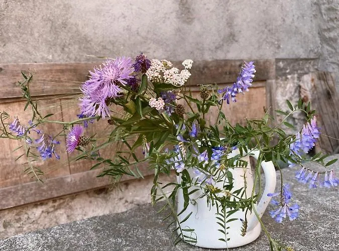 Antica Sosta Dei Viandanti B&B 4*