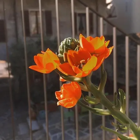 Bed & Breakfast Antica Sosta Dei Viandanti