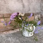 Antica Sosta Dei Viandanti Bed and breakfast 4*