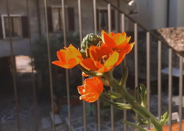 Frühstückspension Antica Sosta Dei Viandanti